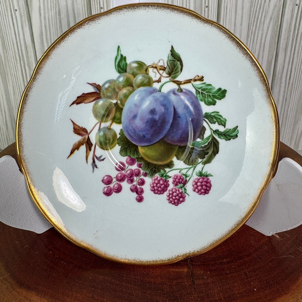 Royal Grafton Fine Bone China Saucer Fruit Motif Gold Rim Made in England 5.5"